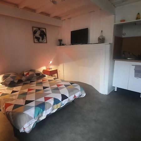 Appartamento Promo24-31Mai 4Personnes Toulouse 15Mn 4 Lits Cuisine Sde Wc Montastruc-la-Conseillère Esterno foto