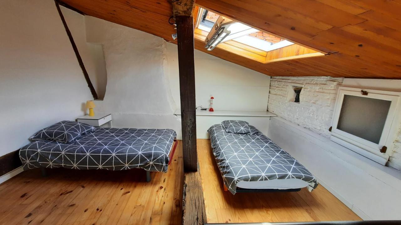 Appartamento Promo24-31Mai 4Personnes Toulouse 15Mn 4 Lits Cuisine Sde Wc Montastruc-la-Conseillère Esterno foto